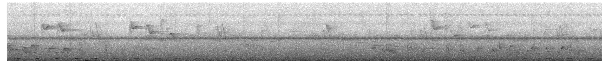 Greater Coucal - ML645042582