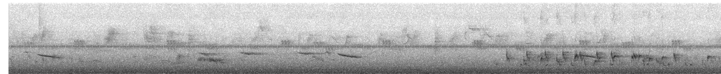 bird sp. - ML645042585