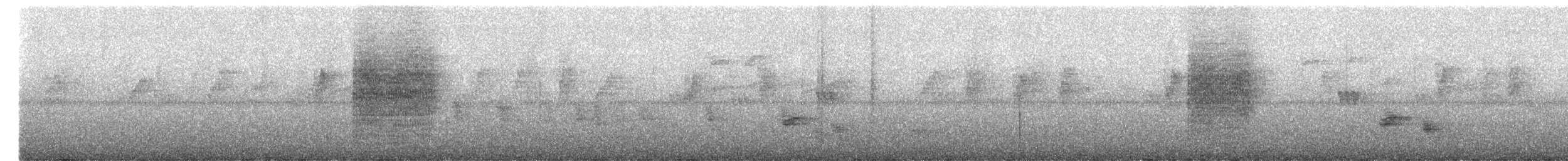 Blyth's Reed Warbler - ML645042592