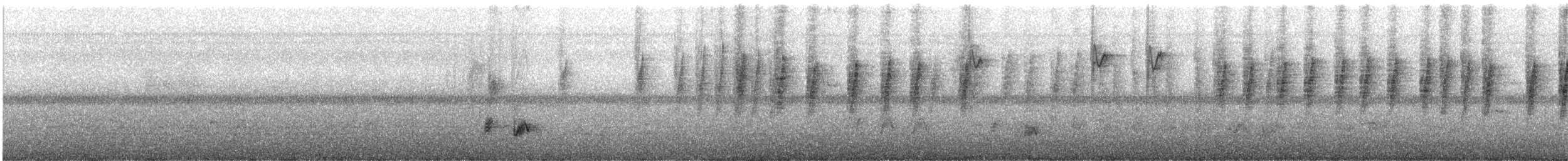 Purple Sunbird - ML645042598