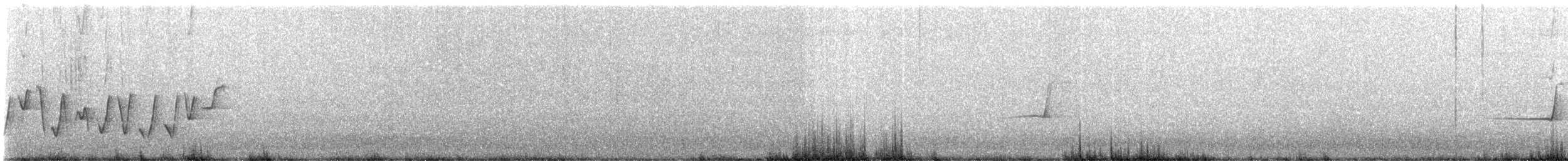 Rufous Whistler - ML645042975