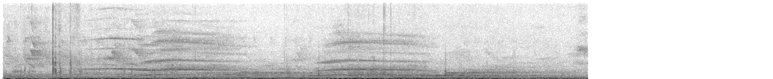 Red-naped Ibis - ML645042981