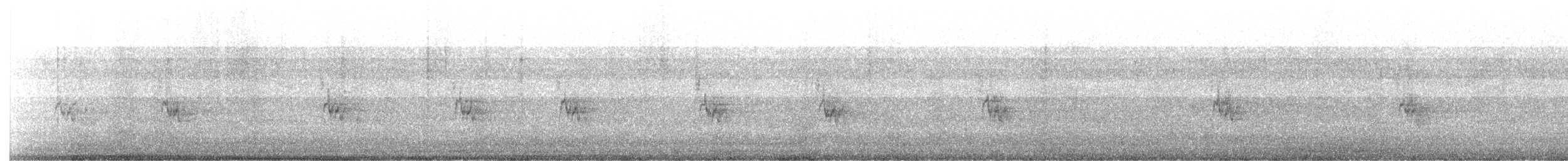 House Sparrow - ML645043045