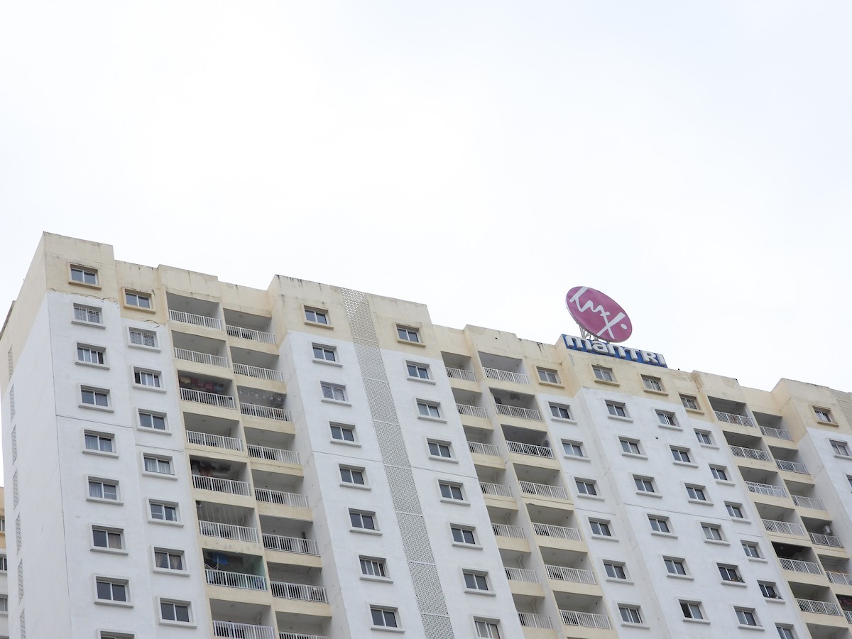 Peregrine Falcon - ML645043172