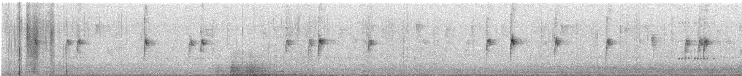 White-throated Sparrow - ML645043498