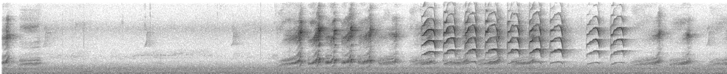 Graurücken-Krähenstar - ML645044276