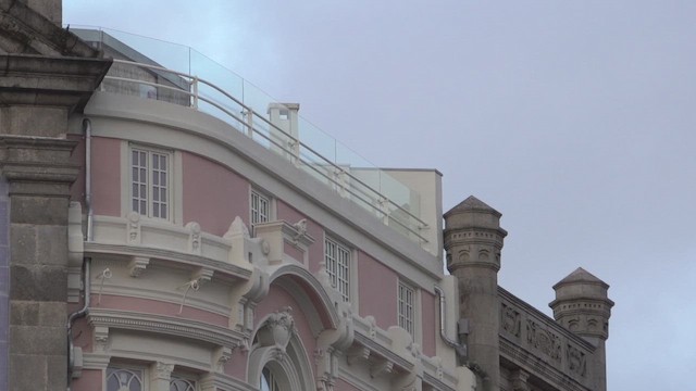 kanariseiler - ML645044341