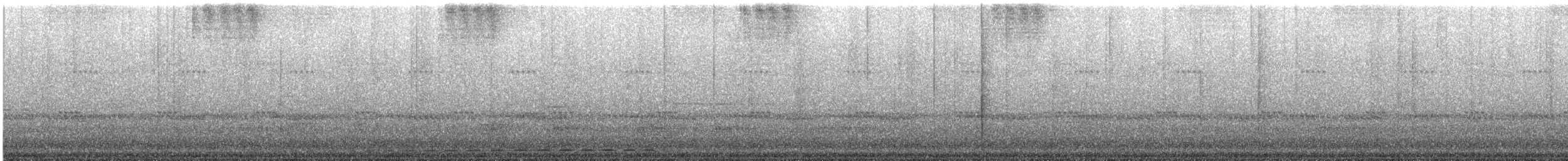 Grauscheitel-Ameisenpitta - ML645044476