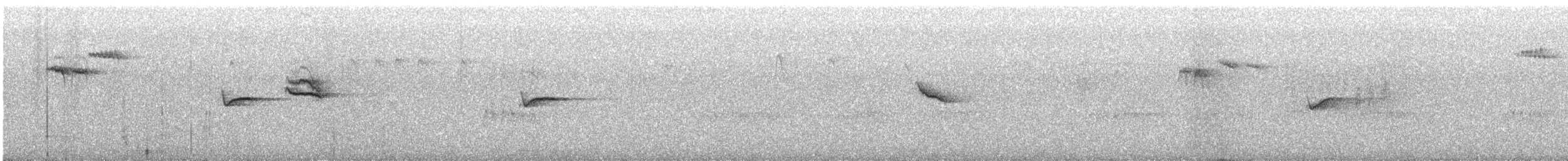 Tannenmeise - ML645044969