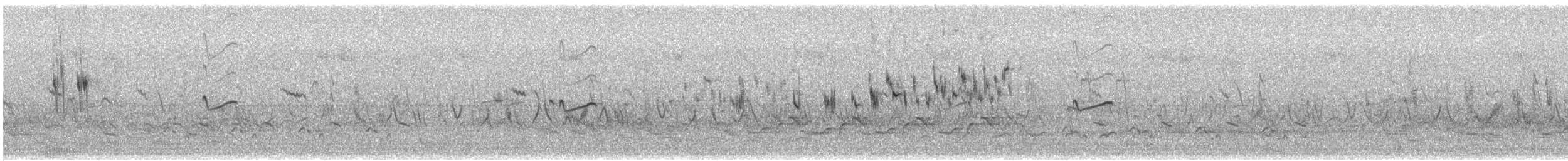 צחיחנית חרמון - ML645045253