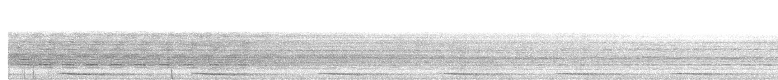 Great Argus - ML645045614