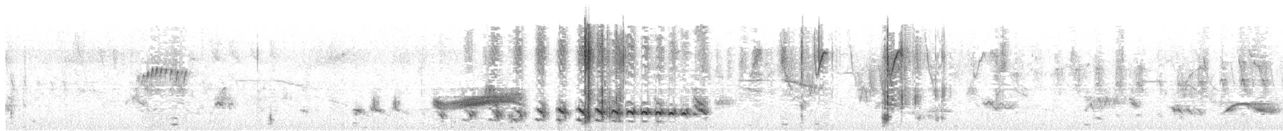 Batará Barrado - ML645046077