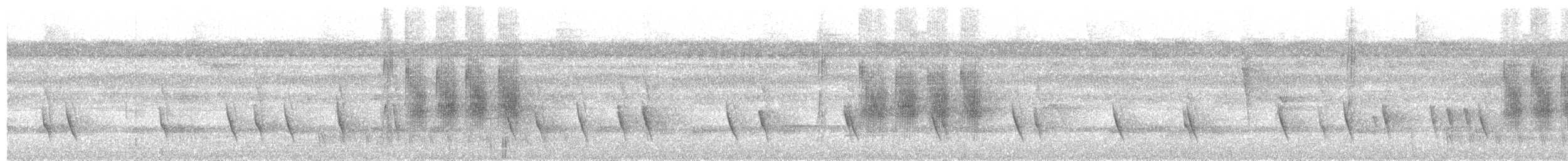 Todd's Antwren - ML645046321