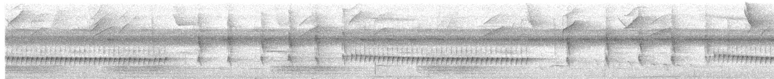 leskot dlouhozobý - ML645046326