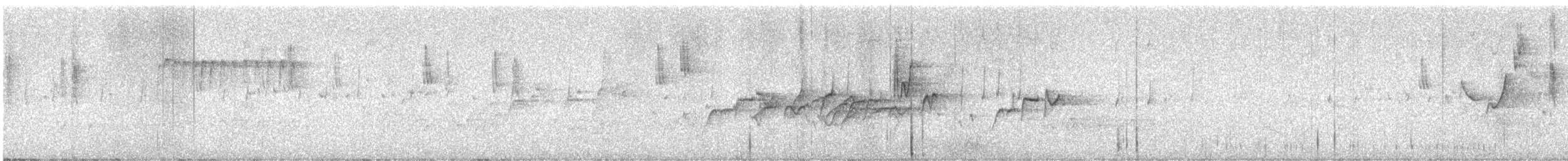 Weebill - ML645046516