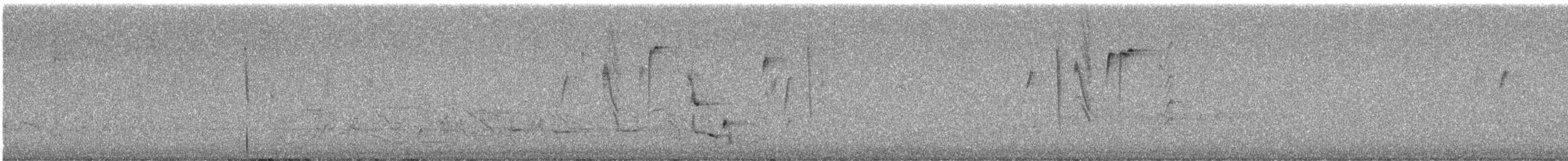 Inland Thornbill - ML645048107