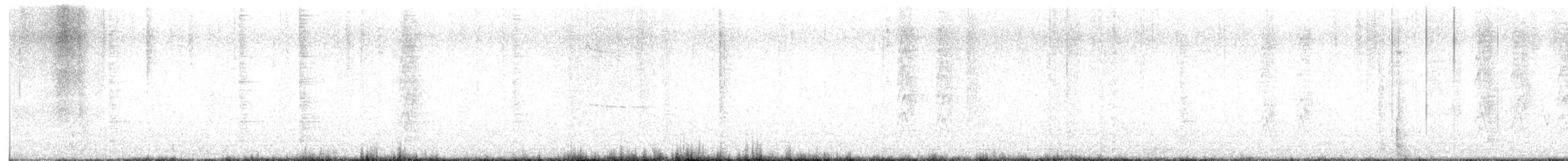 Woodhouse's Scrub-Jay - ML645048158