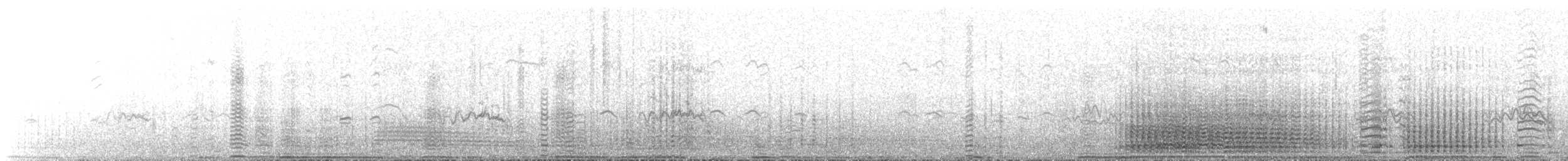 Gentoo Penguin - ML645048236