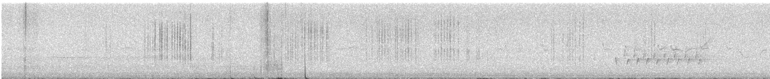 Spotted Scrubwren - ML645048261