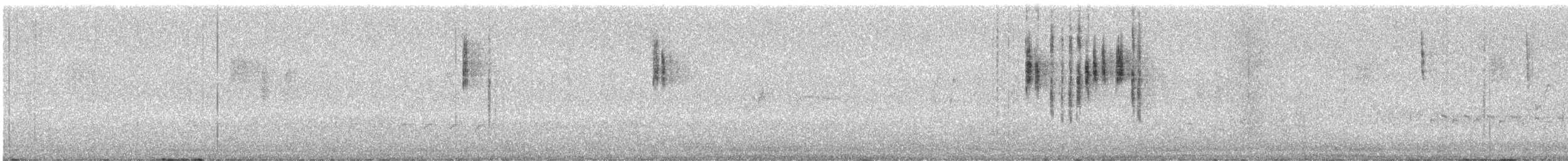 Séricorne maculé - ML645048312