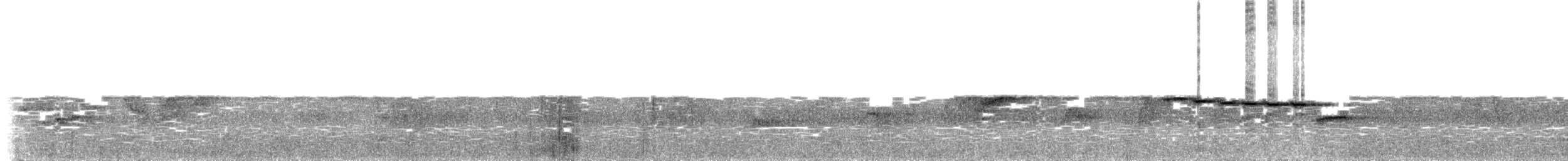 White-browed Warbler - ML645048354