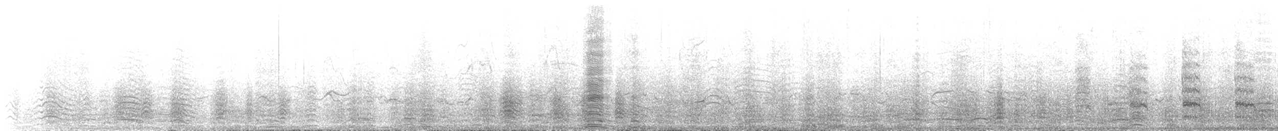 King Penguin - ML645048613