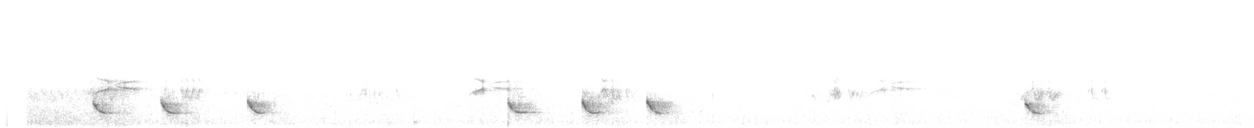 Long-billed Wren - ML645048693