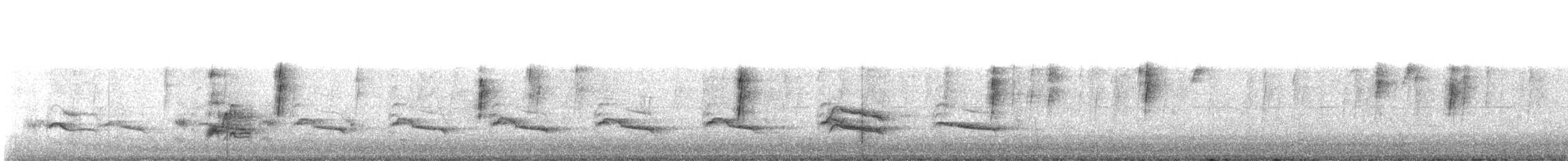 Cassin's Kingbird - ML645048727