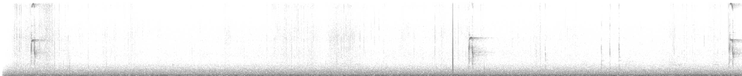 strakapoud americký - ML645049307