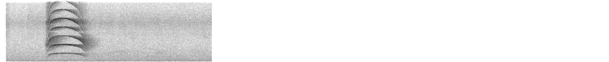 Great Kiskadee - ML645050262