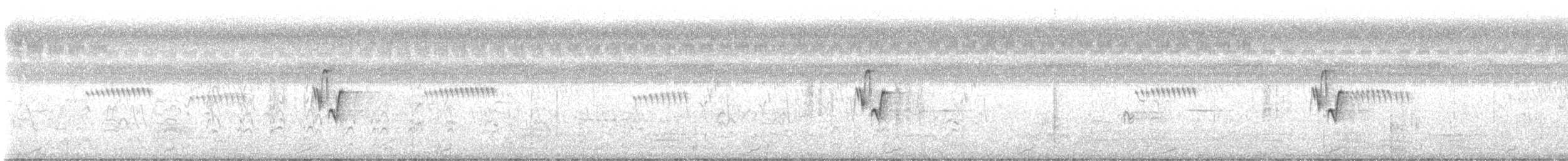 Prinia Cenicienta - ML645050361