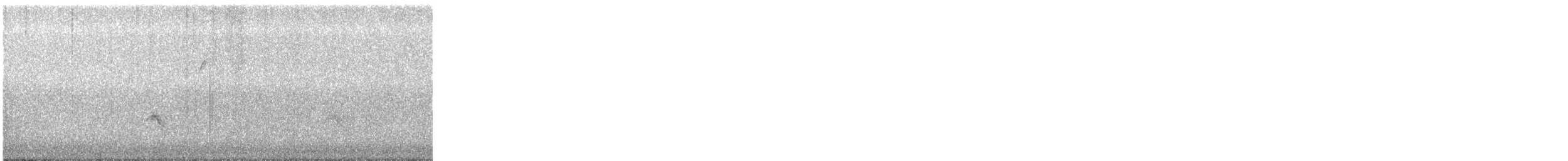 Picogordo Vespertino - ML645050401