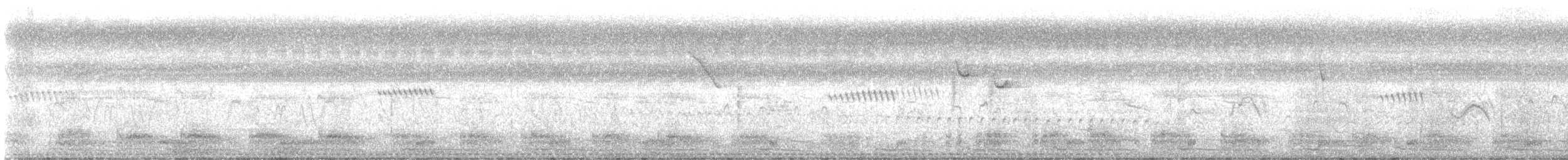 Gallineta Pechiblanca - ML645050445