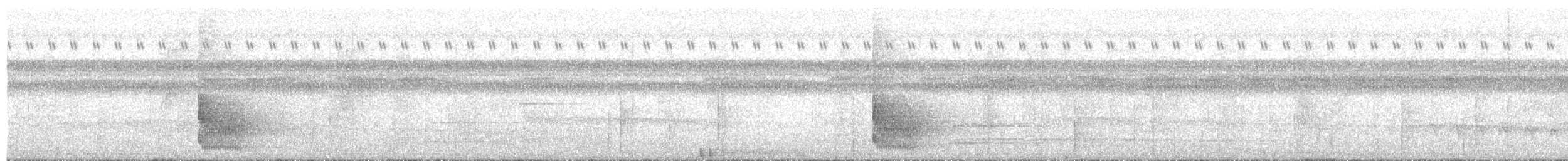 Ticotico Gorjiclaro Oriental - ML645050913