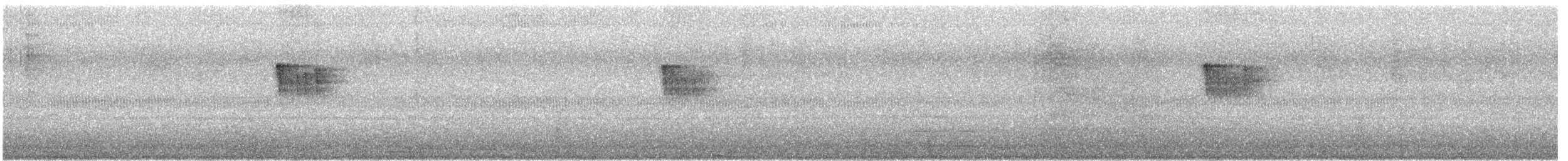 Piojito Tiquitiqui - ML645051118