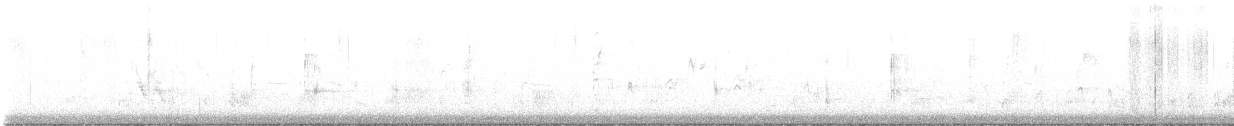 Pico Velloso - ML645051406