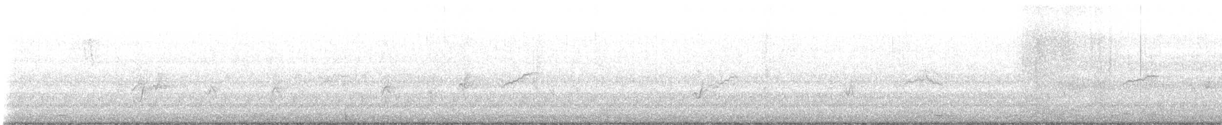 Estornino Pinto - ML645051411