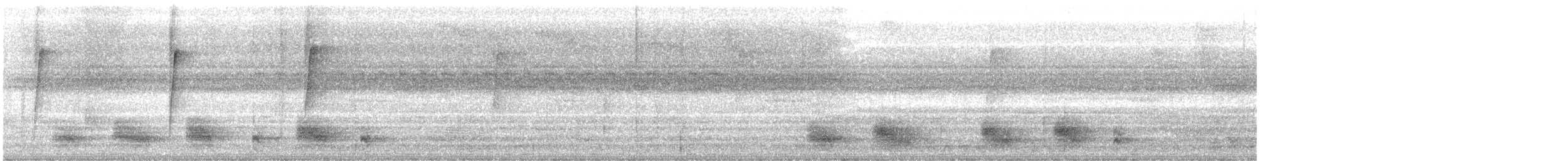 Hormiguero Gris - ML645051635