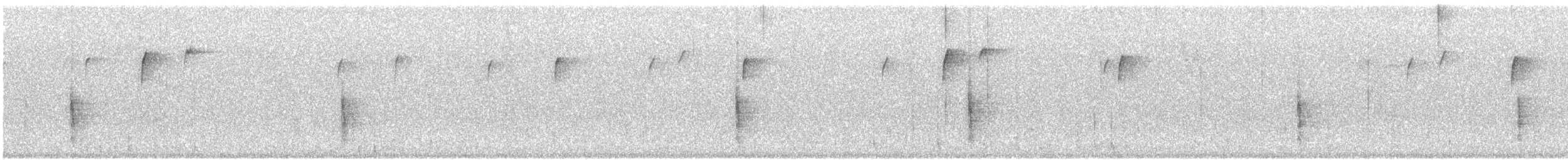 Zanate Canadiense - ML645052335