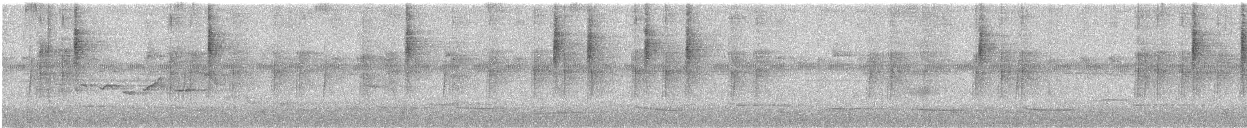 Paloma Montaraz Común - ML645052594