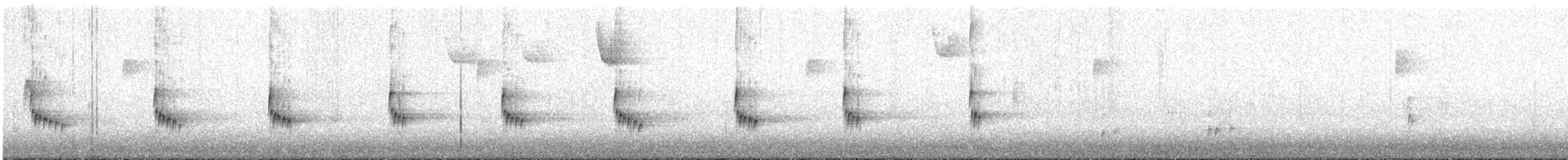 Carolina Wren - ML645053315