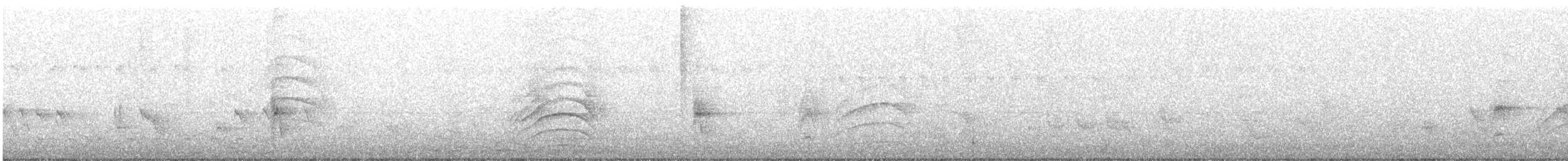 Great Kiskadee - ML645053419