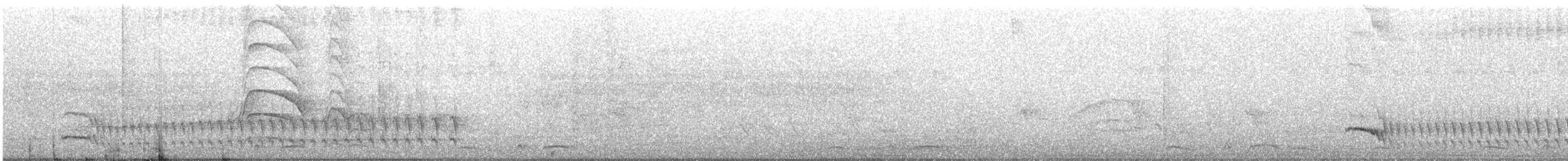 Black-crested Antshrike - ML645053497