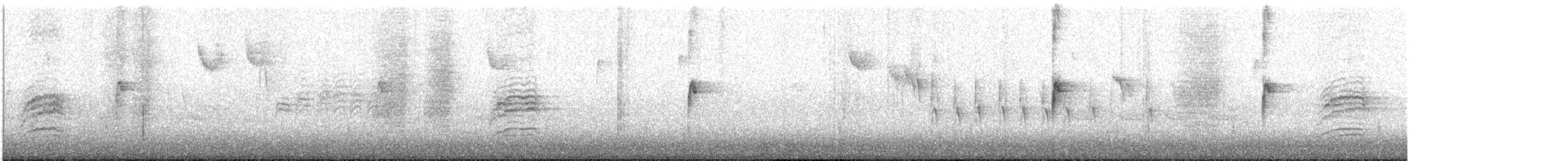 Hermit Thrush - ML645053582