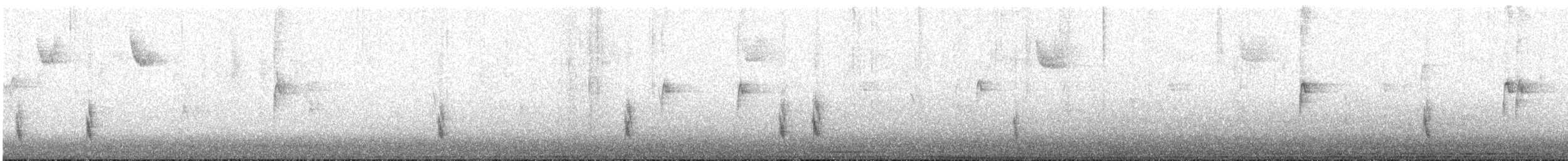 Hermit Thrush - ML645053654