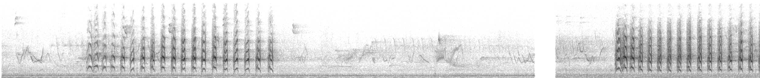 Northern Harrier - ML645053801