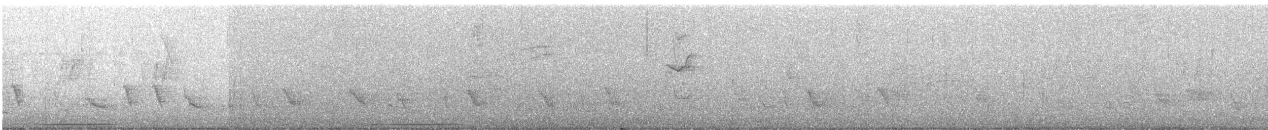 White-tipped Dove - ML645053828