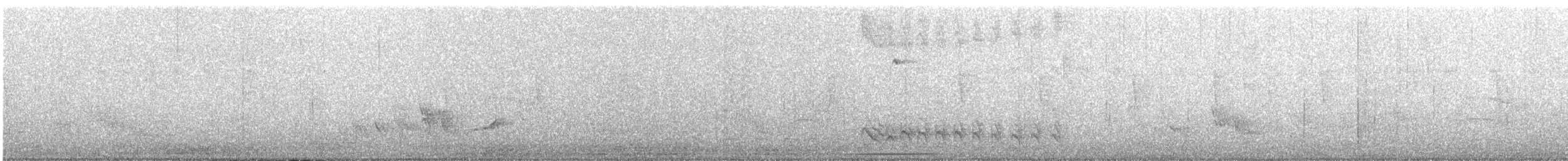 Black-crested Antshrike - ML645053927