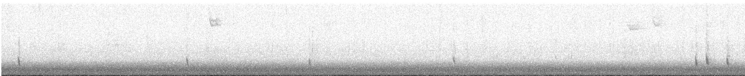 Hermit Thrush - ML645054169