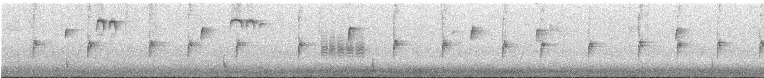 White-throated Sparrow - ML645054515